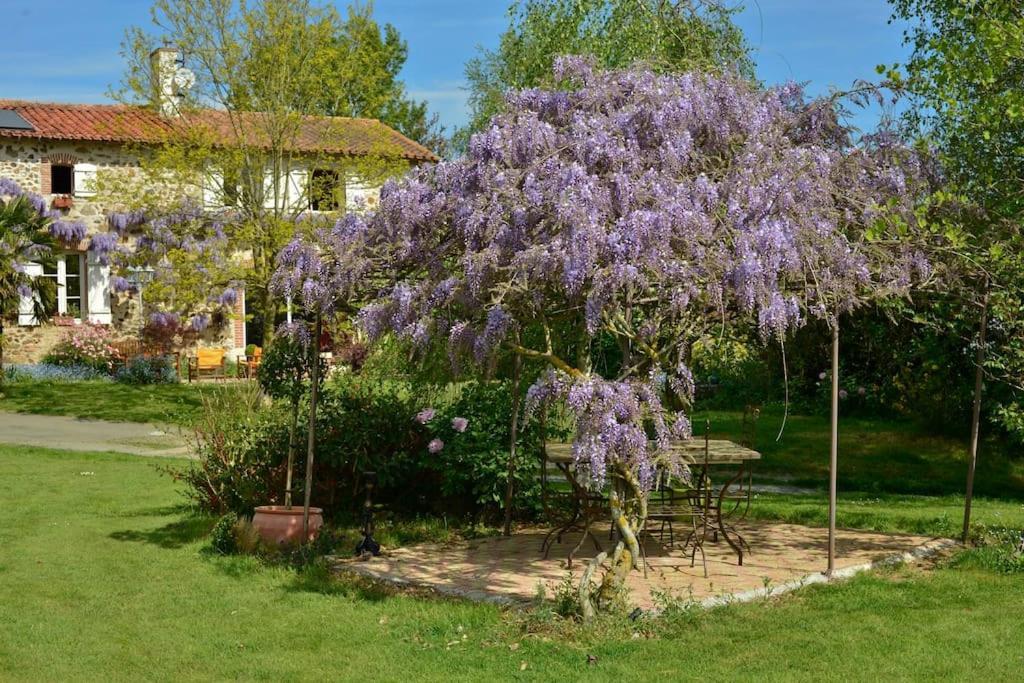 La Frapperie Bed & Breakfast La Pommeraie-sur-Sevre Exterior photo