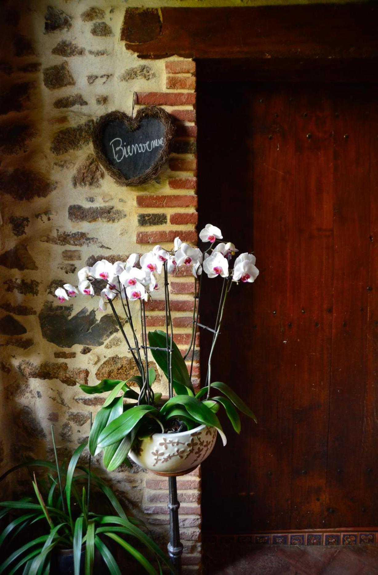 La Frapperie Bed & Breakfast La Pommeraie-sur-Sevre Exterior photo